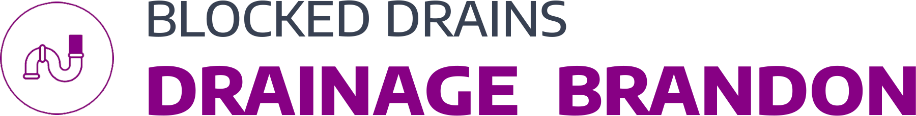 website logo